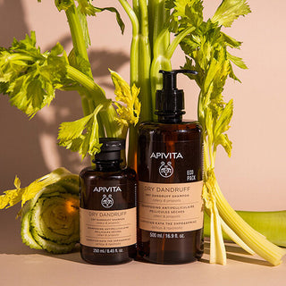 Dry Dandruff Shampoo (droge roos) (500ml eco-verpakking) Apivita