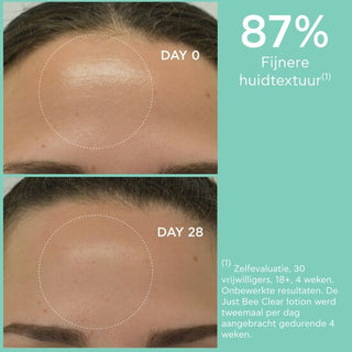 Just Bee Clear Pore Minimizing Purifying Lotion Apivita