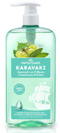 Karavaki Oil Balancing Shampoo tegen Vet Haar