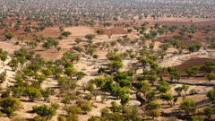 De rijpe huid: arganolie geeft je gezicht weer glans