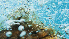 Extreem droog haar wassen zonder shampoo: wat werkt wel en niet?