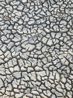 gray and black stone fragments