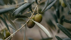 Olijfolie in cosmetica