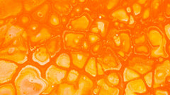 Keelpastilles of keelsnoepjes: wat is het verschil en wanneer kies je wat?