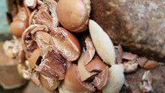 Arganolie