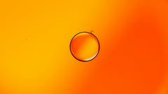 Afrikaanse bolletjeskool