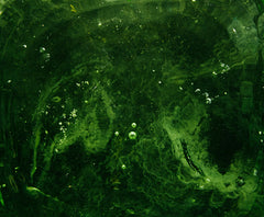 Small air bubbles suspended in a dark green liquid