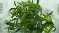 Rozemarijnolie haaruitval: zo gebruik je het veilig thuis (in 3 stappen)