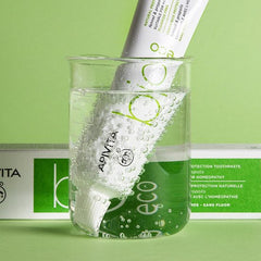 Biologische Tandpasta Apivita