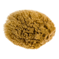 Natuurlijke Griekse Spons Fresh Line