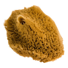 Natuurlijke Griekse Spons voor Gezicht Fresh Line