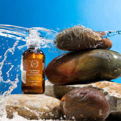 Caribbean Coconut Sun Protection Hair Mist Fresh Line