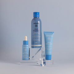 Aqua Beelicious Oil-Free Hydrating Gel-Cream