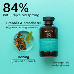 Oily Roots Dry Ends Shampoo Apivita
