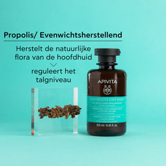 Oily Roots Dry Ends Shampoo Apivita