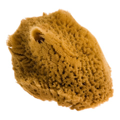 Natuurlijke Griekse Spons voor Gezicht