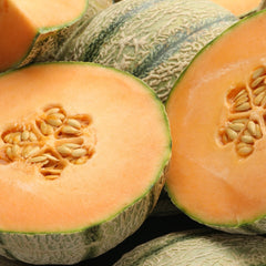 Melon & Mint Shower Gel (Soft Summer Gelato) Fresh Line