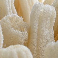Loofah Handschoen Enkelzijdig Mythos